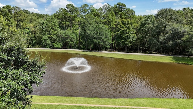 10332 Hunter Creek Ln, Conroe, TX 77304 - water view