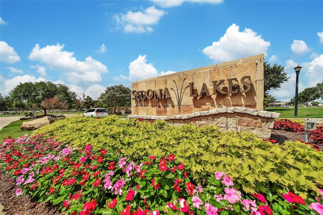 3910 Lupin Bush Ln, Manvel, TX 77578 - photo 25