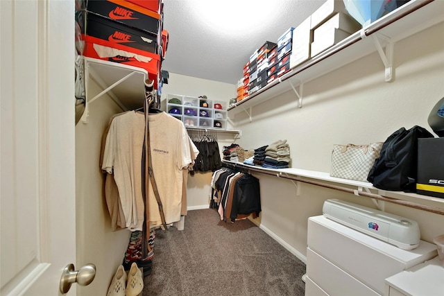 7427 Wheatley Gardens Dr, Houston, TX 77016 - walk in closet with carpet