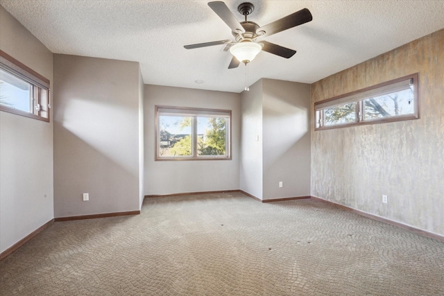 2614 Rip Van Winkle Dr, Pearland, TX 77581 - photo 19