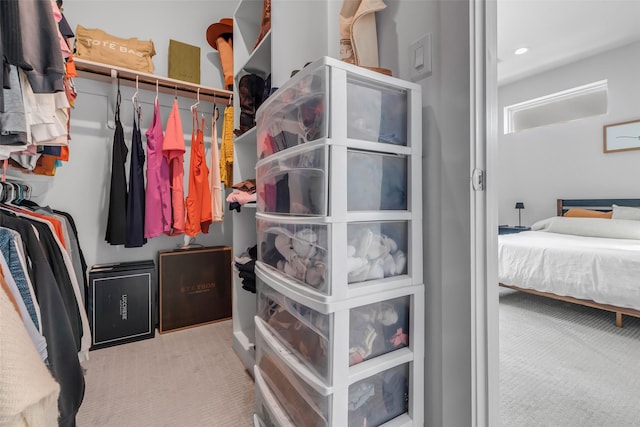 413 N Nagle St Unit B, Houston, TX 77003 - spacious closet with carpet flooring