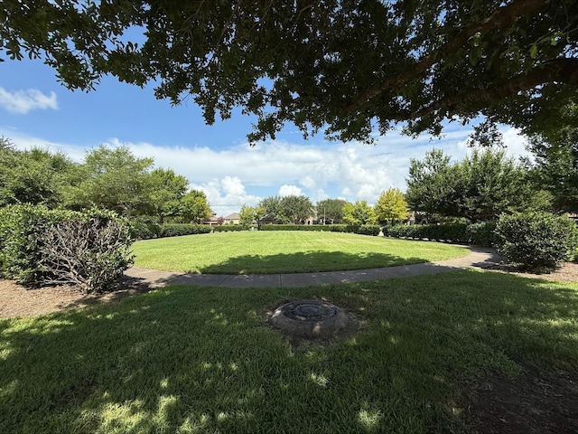 19011 Royal Cove Cir, Cypress, TX 77433 - view of grassy yard