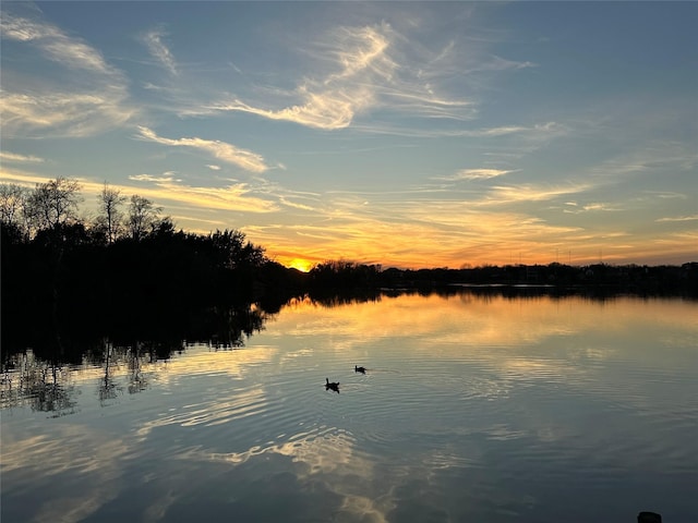 10207 Olive Mount St, Pearland, TX 77584 - water view