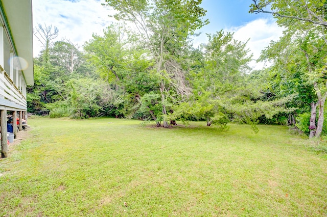 131 Canary Ln, Coldspring, TX 77331 - view of grassy yard