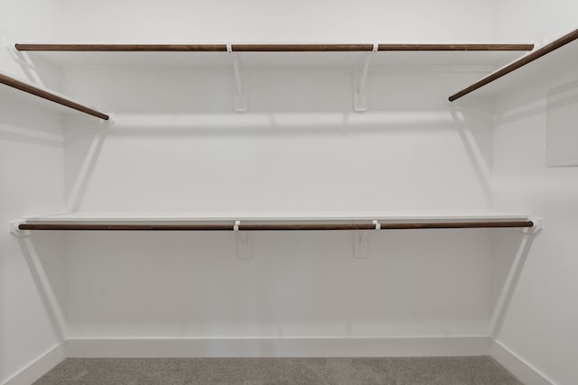 2206 Mansfield, Houston, TX 77091 - spacious closet with carpet flooring