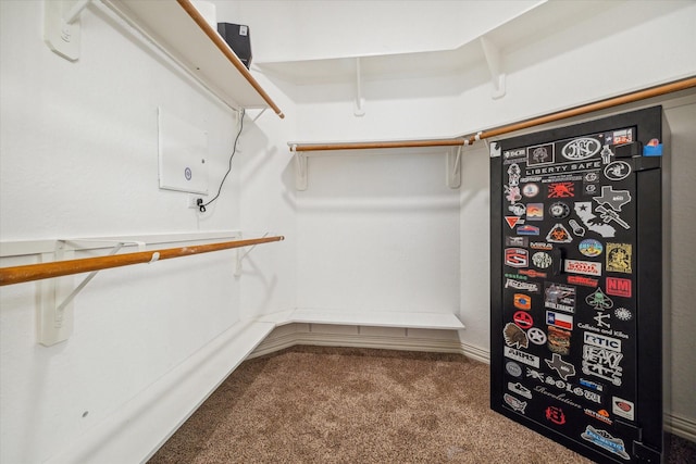 7206 Broadelm Dr, Houston, TX 77095 - spacious closet featuring carpet floors