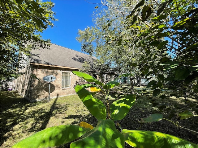 4106 Friar Point Rd, Houston, TX 77047 - view of yard