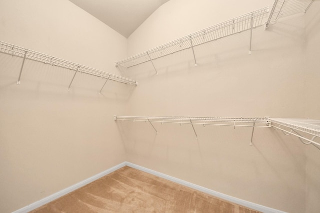 20234 Goss Hollow Ln, Katy, TX 77449 - spacious closet with light colored carpet and lofted ceiling