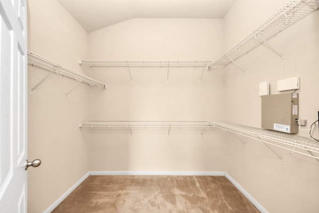 20234 Goss Hollow Ln, Katy, TX 77449 - spacious closet with light carpet and vaulted ceiling
