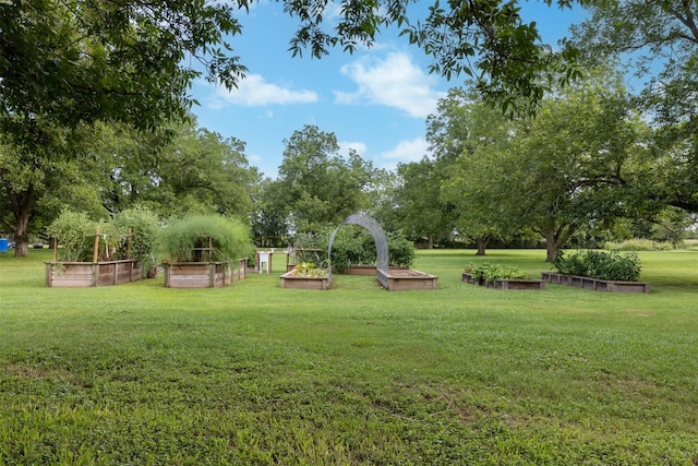 194 2 Mile Ln, Smithville, TX 78957 - view of grassy yard featuring a garden and view of scattered trees