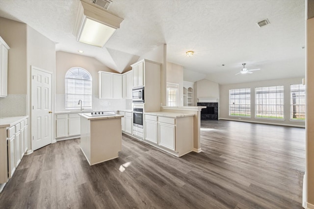 12319 Georgetown Park Ct, Houston, TX 77058 - kitchen with vaulted ceiling, stainless steel appliances, open floor plan, a center island, and ceiling fan