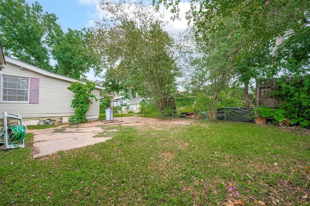 4610 Brinkman St, Houston, TX 77018 - view of green lawn