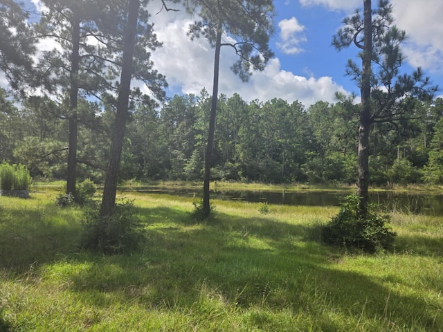 315 Sanders Loop, Corrigan, TX 77351 - photo 3