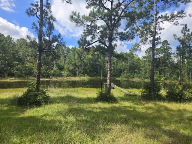 315 Sanders Loop, Corrigan, TX 77351 - photo 1