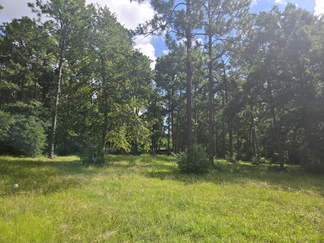 315 Sanders Loop, Corrigan, TX 77351 - photo 6