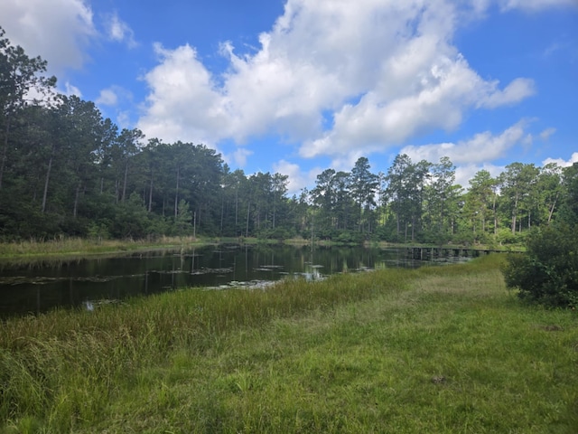 315 Sanders Loop, Corrigan, TX 77351 - photo 5