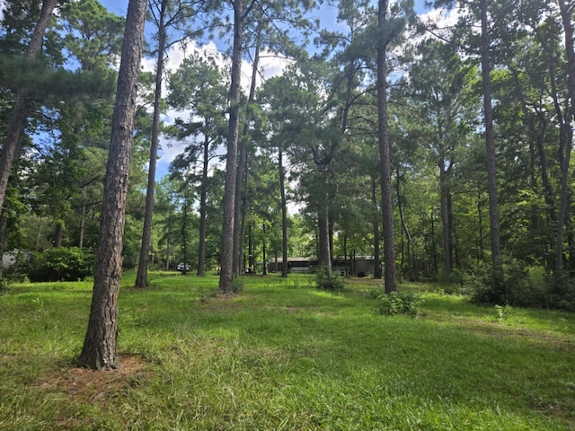 315 Sanders Loop, Corrigan, TX 77351 - photo 8