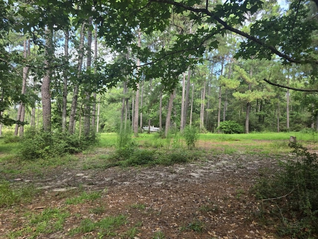 315 Sanders Loop, Corrigan, TX 77351 - photo 10