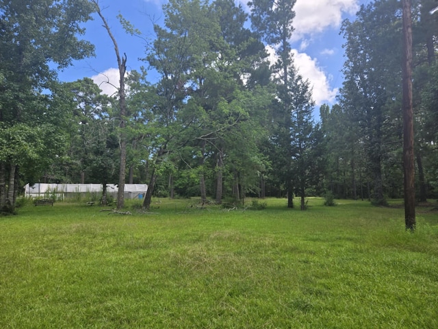 315 Sanders Loop, Corrigan, TX 77351 - photo 11