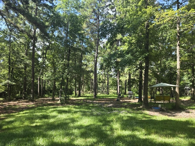 315 Sanders Loop, Corrigan, TX 77351 - photo 12