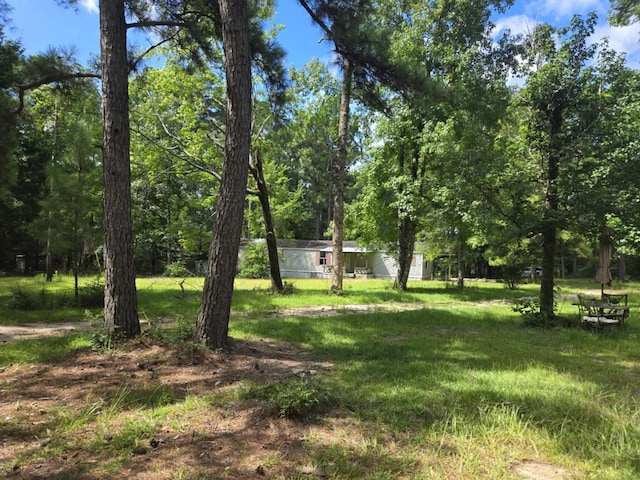 315 Sanders Loop, Corrigan, TX 77351 - photo 7