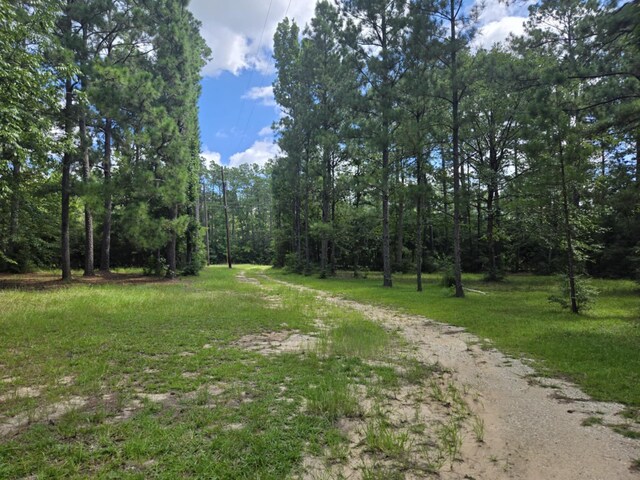 315 Sanders Loop, Corrigan, TX 77351 - photo 2