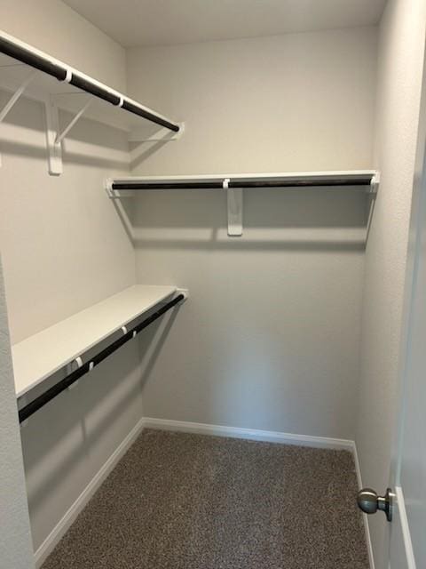 1316 Farquhar St, Navasota, TX 77868 - walk in closet with carpet flooring