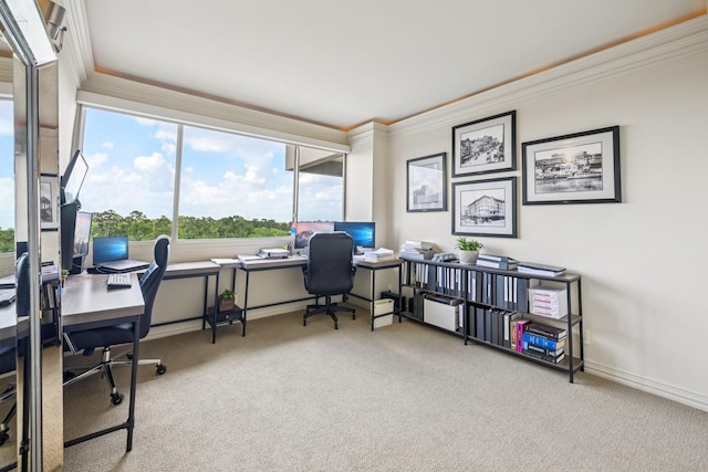 49 Briar Hollow Ln Unit 702, Houston, TX 77027 - carpeted office space with crown molding and baseboards