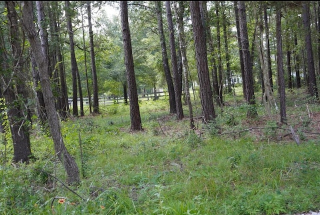 17742 W Terrace Oaks Dr, Waller, TX 77484 - photo 6