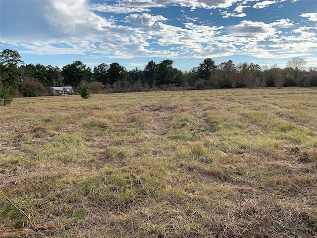 TBD Arndts Lane, Trinity, TX 75862