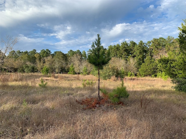 TBD Arndts Lane, Trinity, TX 75862