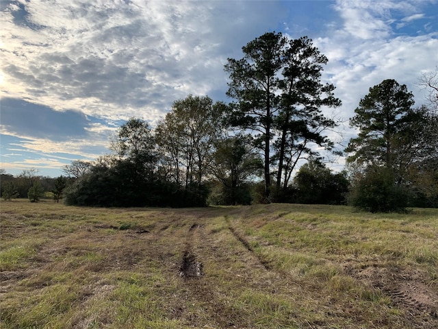 TBD Arndts Lane, Trinity, TX 75862