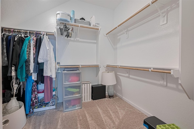 2526 Granberry Pt, Missouri City, TX 77459 - spacious closet featuring carpet and lofted ceiling