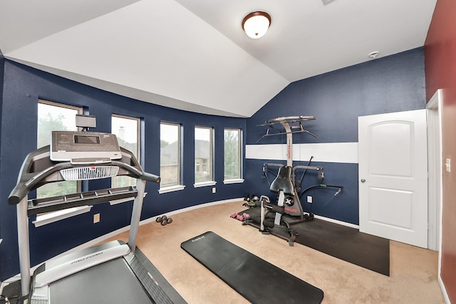 13723 Playa Lucia Ct, Houston, TX 77044 - exercise area featuring carpet and lofted ceiling