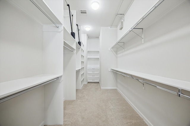 805 Sandman St, Houston, TX 77007 - walk in closet featuring light carpet