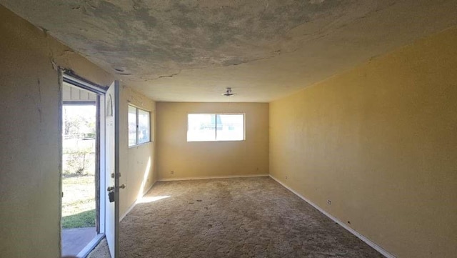 10918 Pandora Dr, Houston, TX 77013 - photo 4
