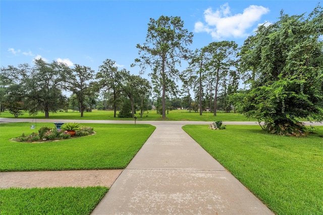 18910 Casper Dr, Spring, TX 77373 - surrounding community featuring a yard
