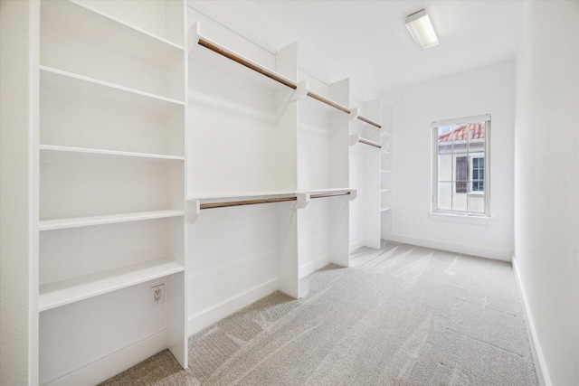431 Jackson Hill St, Houston, TX 77007 - walk in closet with carpet floors
