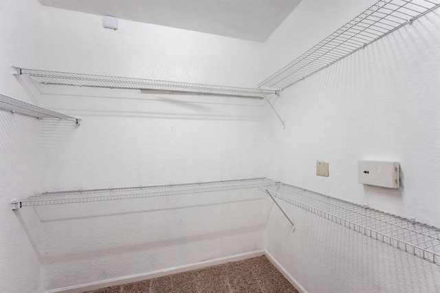 1711 Old Spanish Trl Unit 110, Houston, TX 77054 - walk in closet with carpet flooring