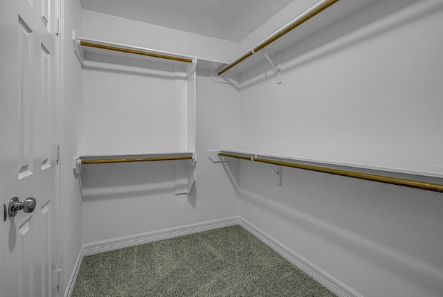 2440 Olympia Dr, West Columbia, TX 77486 - spacious closet featuring carpet flooring