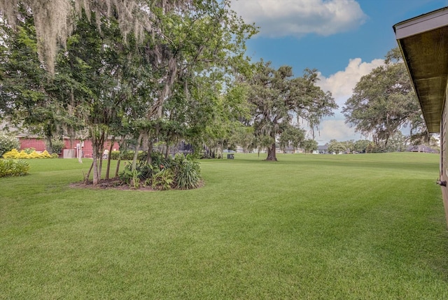 2440 Olympia Dr, West Columbia, TX 77486 - view of grassy yard