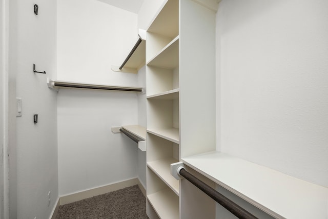 1801 Radcliffe St, Houston, TX 77007 - spacious closet with carpet