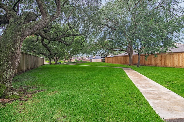 16606 Neumann Dr, Houston, TX 77058 - view of yard