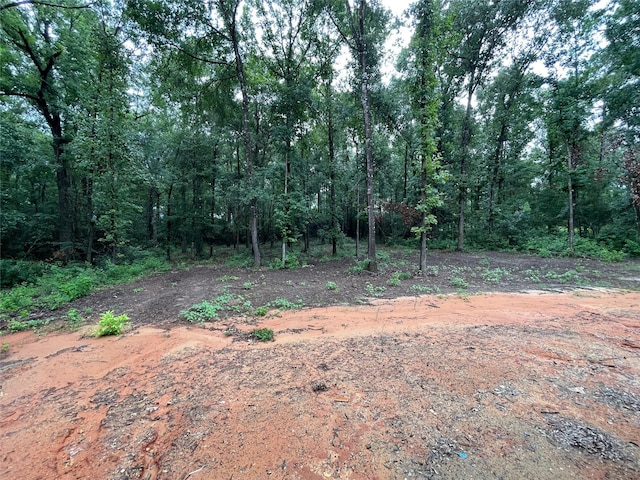 12644 Grove W, Willis, TX 77378 - photo 38