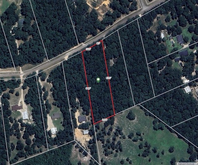 12644 Grove W, Willis, TX 77378 - photo 41