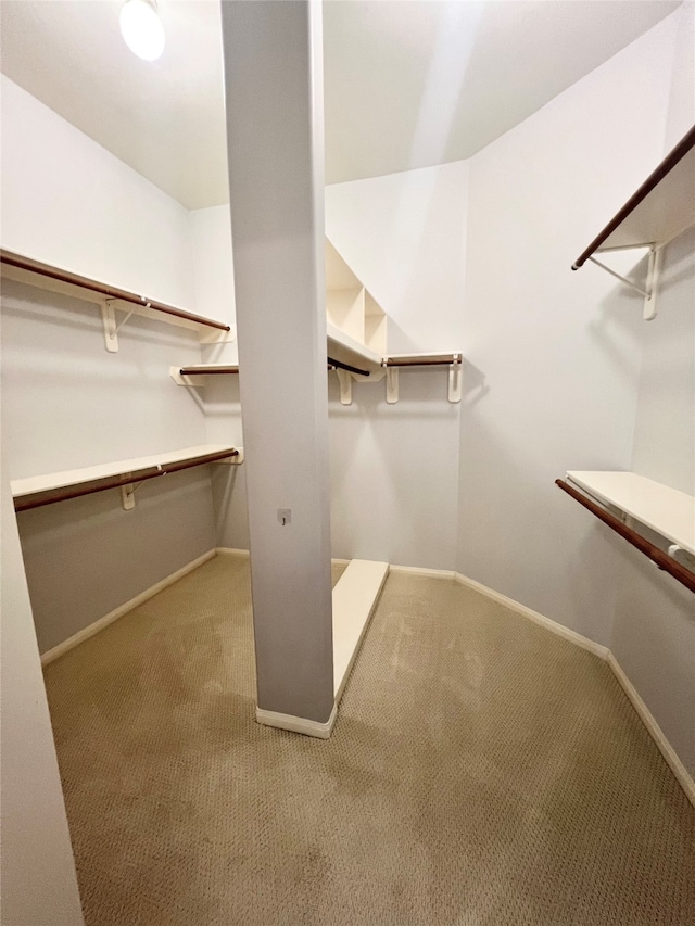 1150 Sienna Hill Dr, Houston, TX 77077 - walk in closet with carpet floors