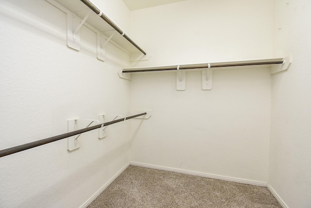 1807 Seville Mnr, Fresno, TX 77545 - photo 21