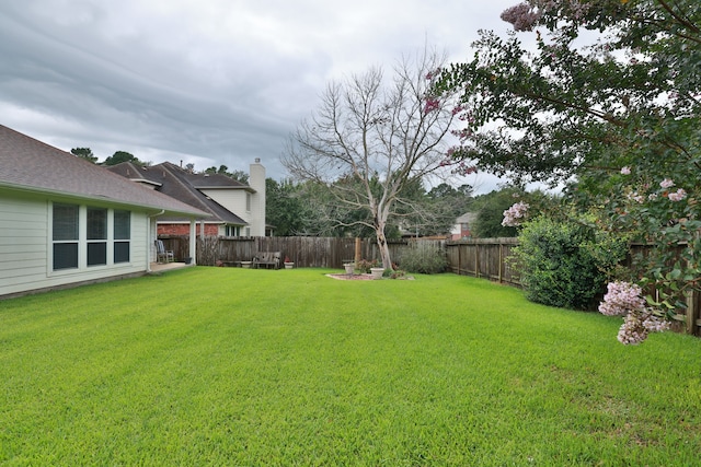 30515 Red Bluff Cir, Magnolia, TX 77355 - view of fenced backyard