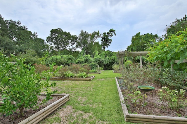 9400 Doliver Dr Unit 70, Houston, TX 77063 - view of grassy yard with a vegetable garden