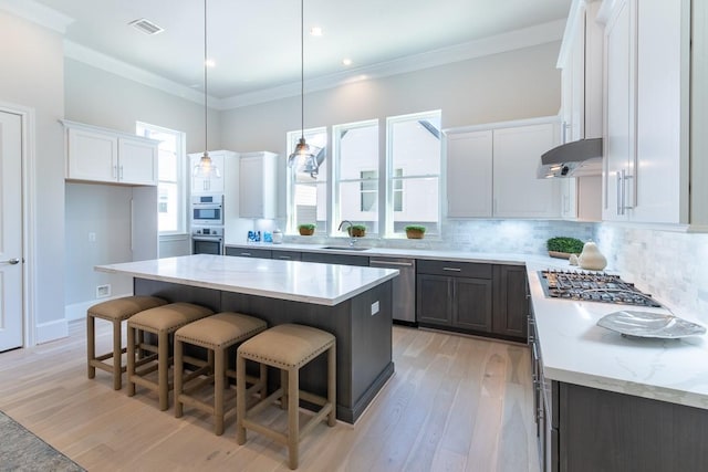 612 Delmar, Houston, TX 77023 - kitchen featuring stainless steel appliances, under cabinet range hood, light wood-style flooring, decorative backsplash, and a breakfast bar